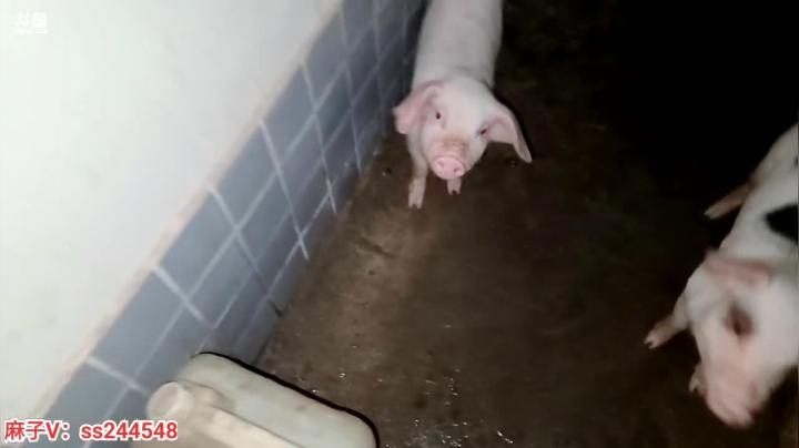 【2021-05-09 22点场】叶子户外：《纪实直播》新疆之旅—茫崖恶魔之眼