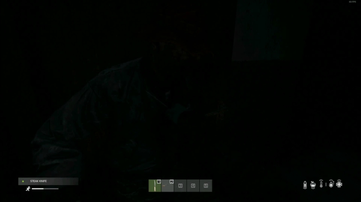 【2021-05-09 19点场】dayz韩爱东西：随便玩玩，直播末日