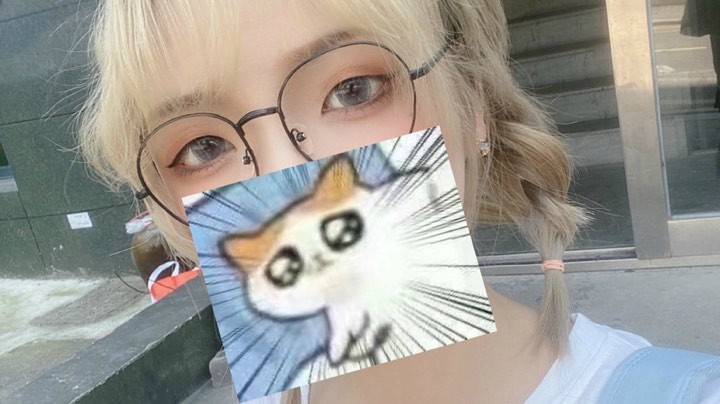 是猫猫