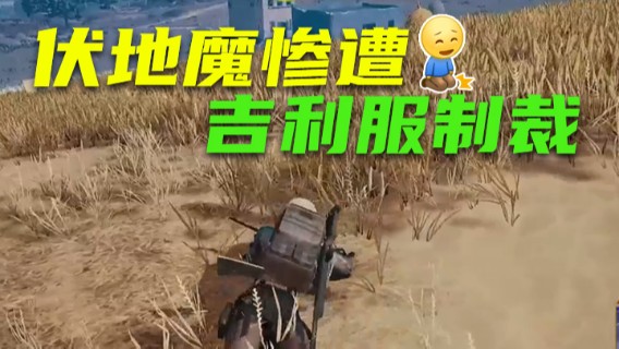 伏地魔惨遭吉利服制裁