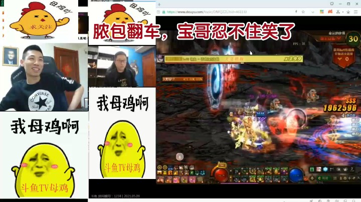 大龙猫翻车，宝哥忍不住笑了