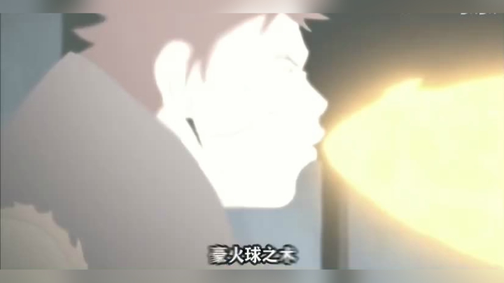 忍者的时代已经结束