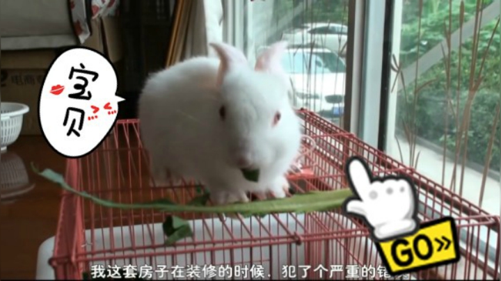 2018-05-07.【老孙聊游戏】老游戏老故事：我养小白兔，兔奴了解一下