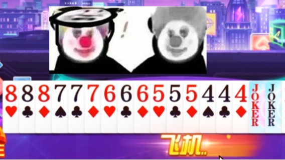 好家伙 第一次见王炸坐飞机