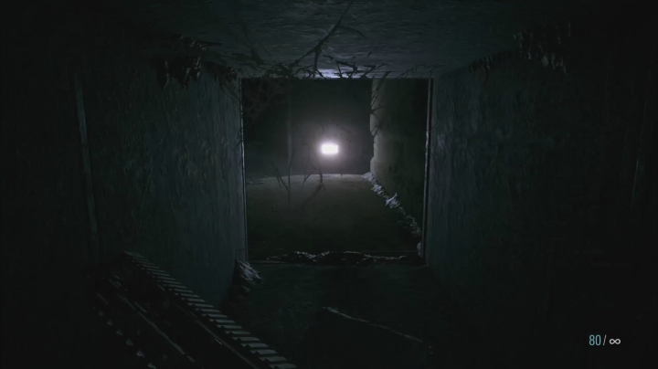 【2021-05-11 21点场】布鲁斯菲尔：二周目 村庄诡影