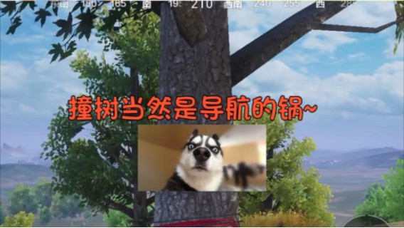 真不是我菜！是我的...装备...