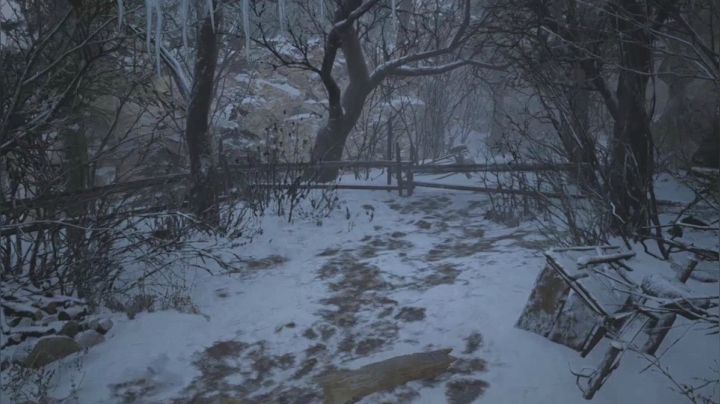 生化8娱乐向速通第一弹~为救爱女心切、勇闯村庄受难