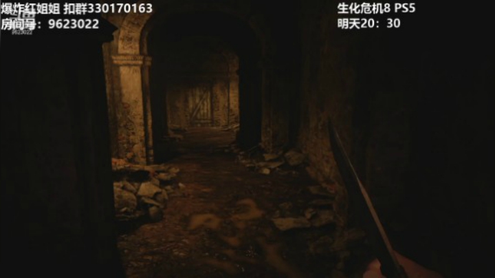 【生化危机8】-4