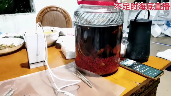 【2021-05-12 21点场】海道丶：海道丶大型赶海节目