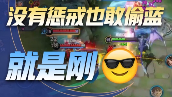 没有惩戒也敢偷蓝，就是刚