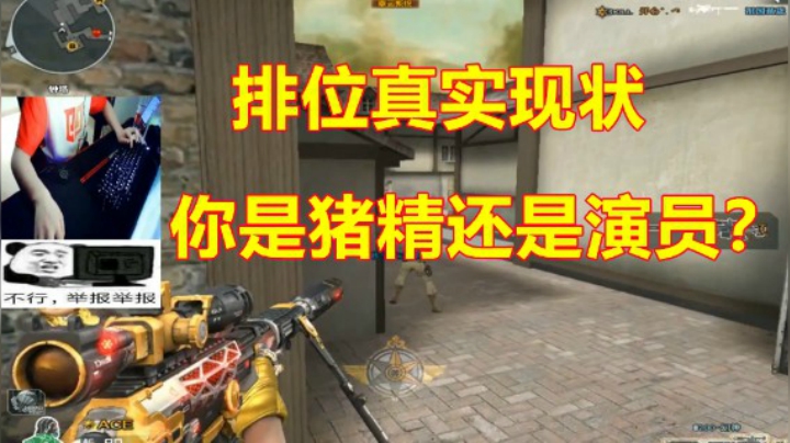 CF排位我带的是猪精还是演员已经分不清了