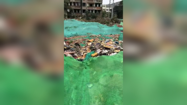 给它个肉干终于信任我一点了 好像带我去看它小奶狗 还知道回头看我有没有跟上
