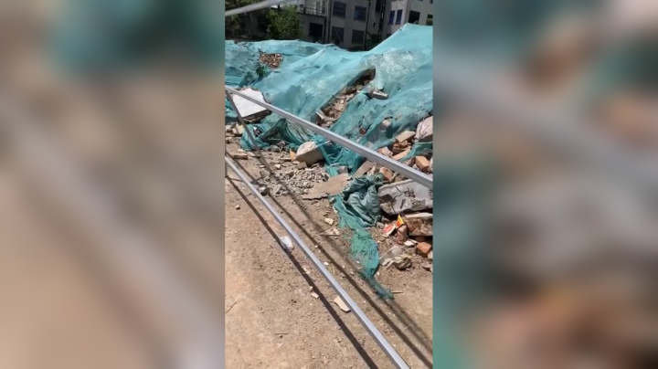 狗妈妈年纪也大了 抓你去绝育  就不用跟你流浪了