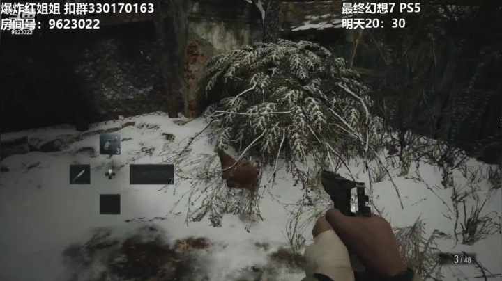 【生化危机8】-5