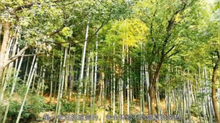 2019-10-14.【老孙聊游戏】老游戏老故事：聊聊朋友，爱玩游戏的土豪胖老板