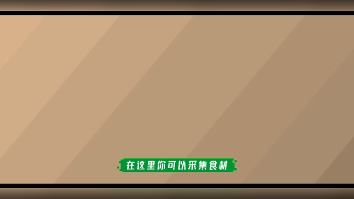 宝可梦大探险一起来