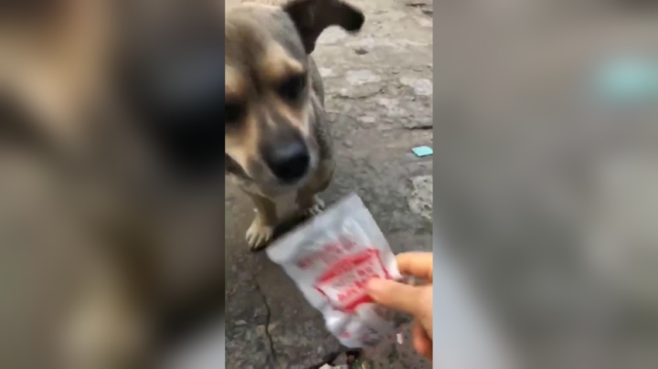 很抱歉有点忙  私信太多恢复不过来