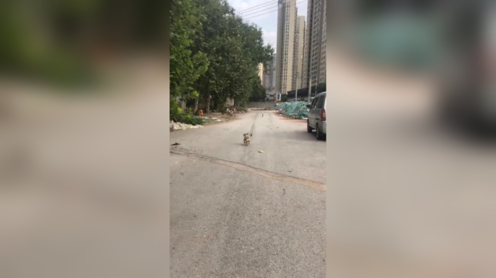 有点忙，大家消息还没回