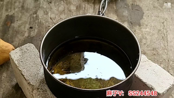 【2021-05-13 17点场】叶子户外：《纪实直播》新疆之旅—东台吉乃尔湖