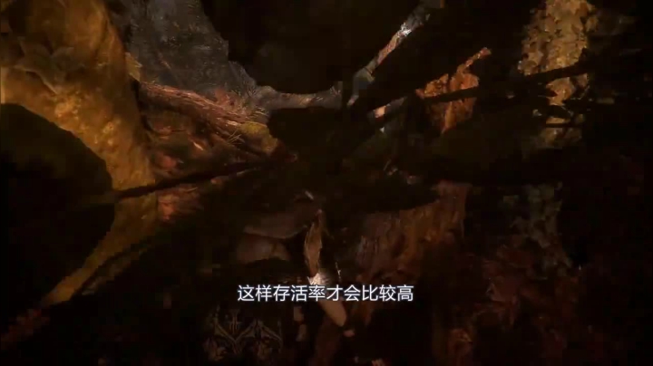 2020-12-12.【老孙聊游戏】同屏超过一万只大老鼠！解读另类游戏《瘟疫传说》