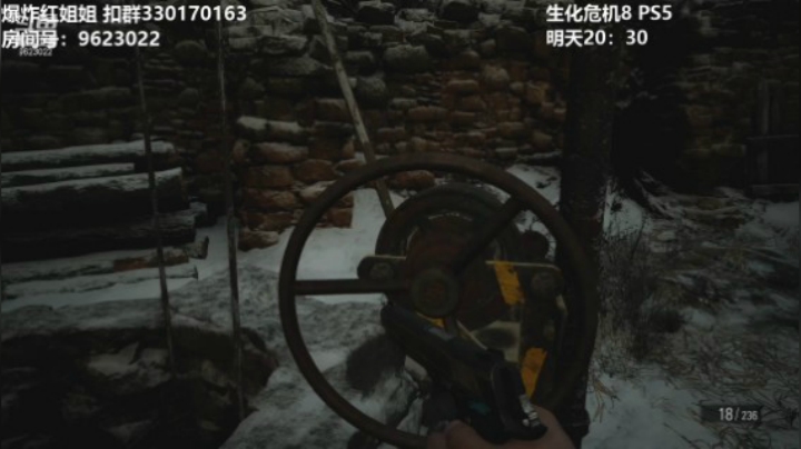 【生化危机8】-9