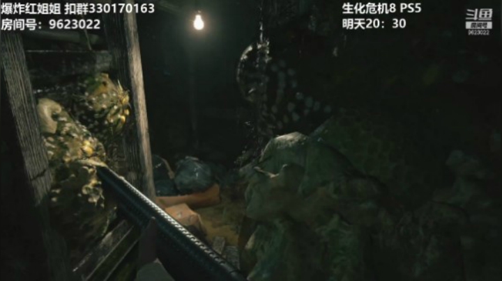 【生化危机8】-7.1