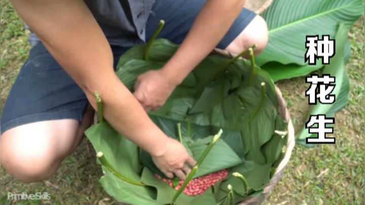 第二季1080P E57种植【真人我的世界-空手发展-单人炼铁】