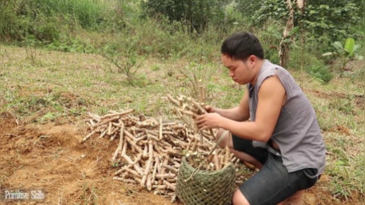 第二季1080P E54木薯种植【真人我的世界-空手发展-单人炼铁】