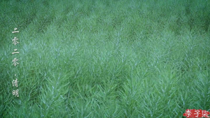 【美食】李子柒liziqi的精彩时刻 20210515 00点场