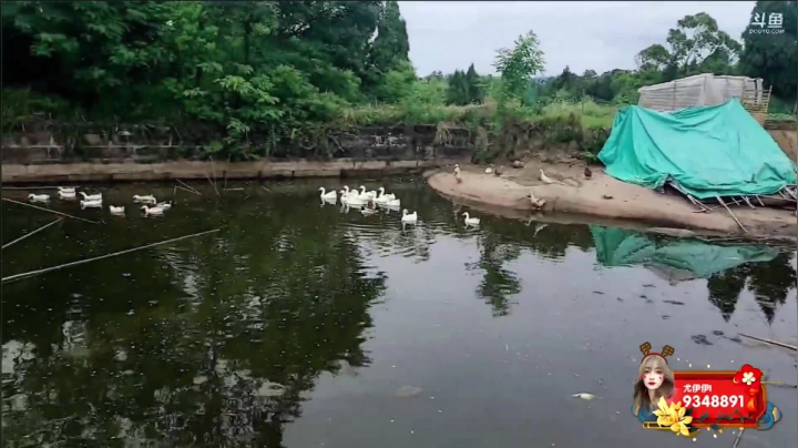 凑合
