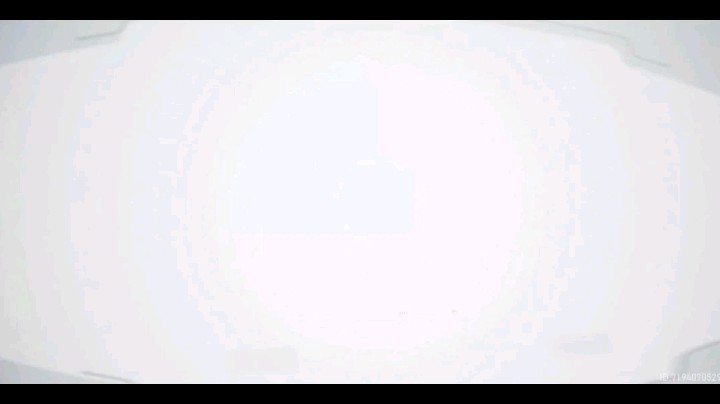 代号弥弥尔早樱大国主高燃