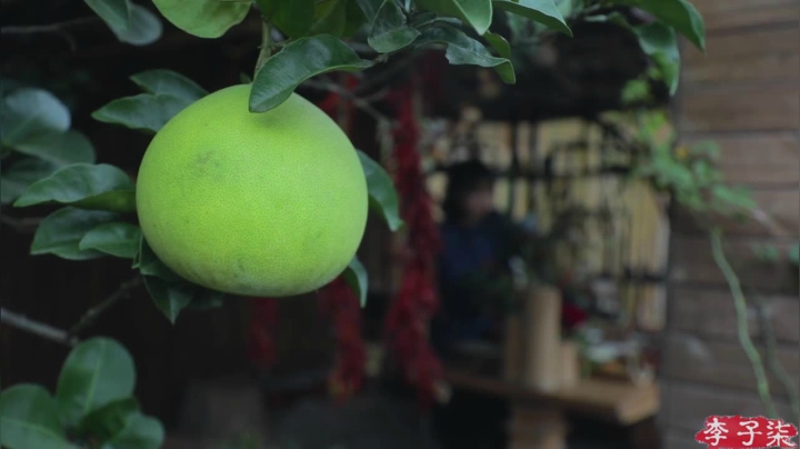 【美食】李子柒liziqi的精彩时刻 20210516 08点场