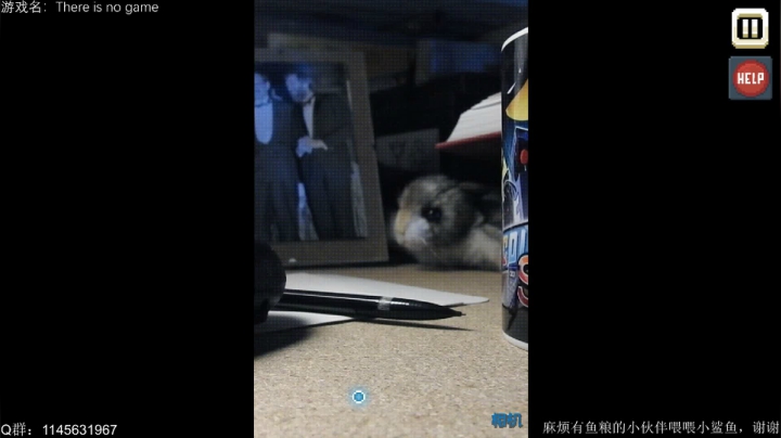 【2021-05-16 16点场】兔花花7777：这儿没有游戏 There is no game