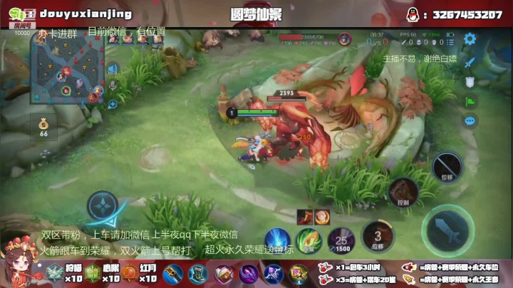 还是白虎好玩