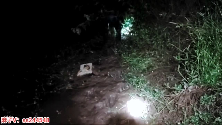 【2021-05-16 01点场】叶子户外：通宵干鱼塘