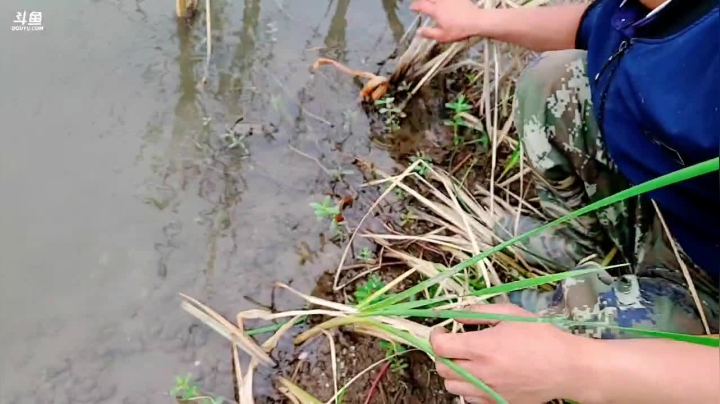 【2021-05-16 15点场】洪湖小肖：活到老学到老！