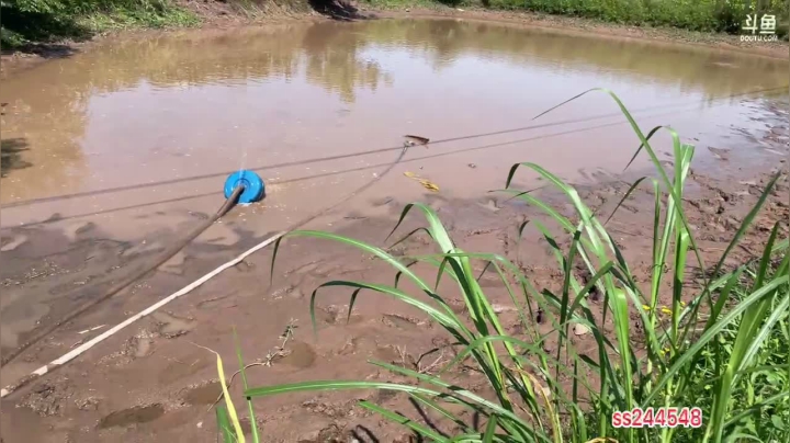 【2021-05-16 14点场】叶子户外：干鱼塘，第N次当凯子