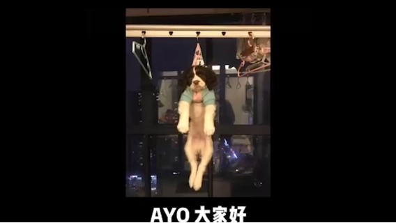 给大家介绍一下，我儿子