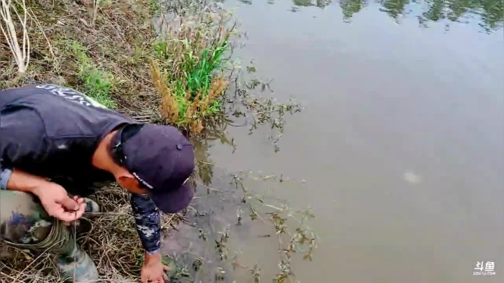 【2021-05-17 12点场】洪湖小肖：活到老学到老！