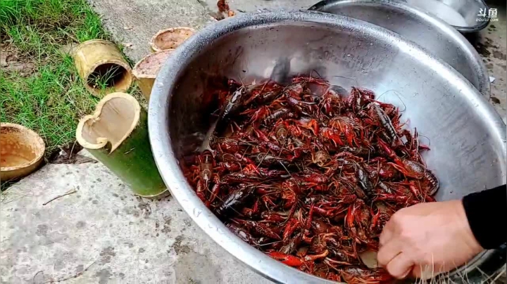 【2021-05-17 16点场】洪湖小肖：活到老学到老！