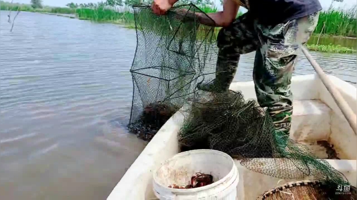 【2021-05-17 10点场】洪湖小肖：活到老学到老！