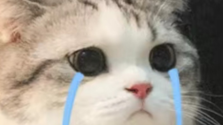 太厉害害了2