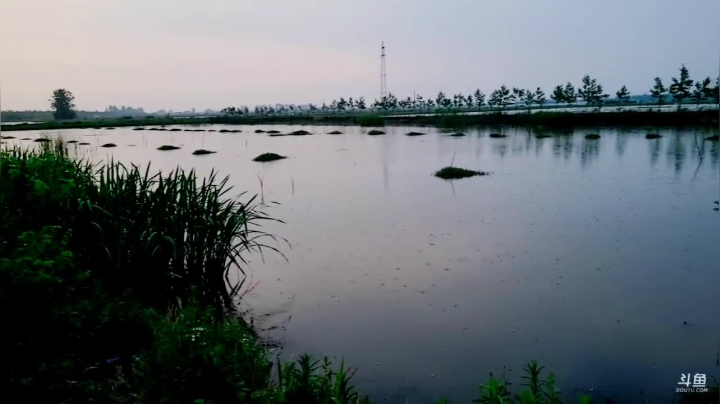 【2021-05-17 18点场】洪湖小肖：活到老学到老！