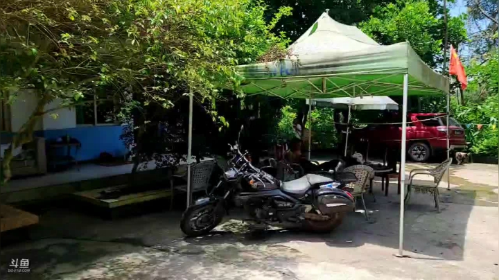 【2021-05-17 12点场】叶子户外：全鱼宴整起