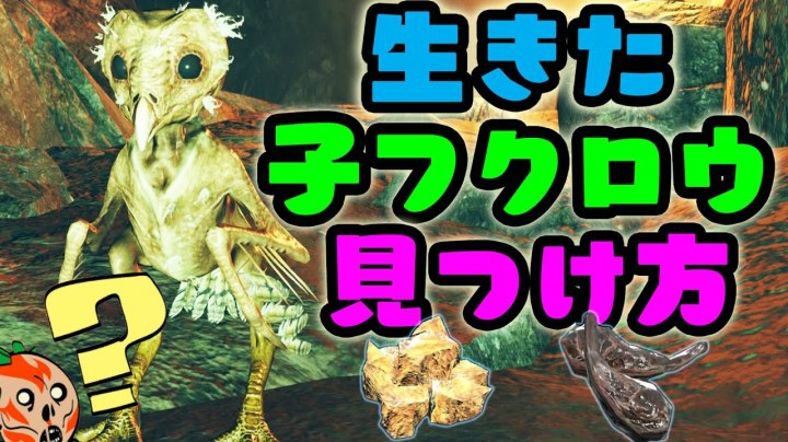 生きた子クフロウを見つけて子フクロウのナゲッツのレシピを開放