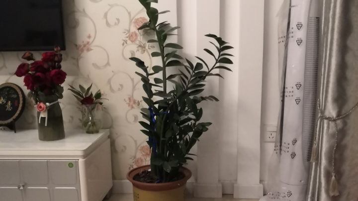 教育