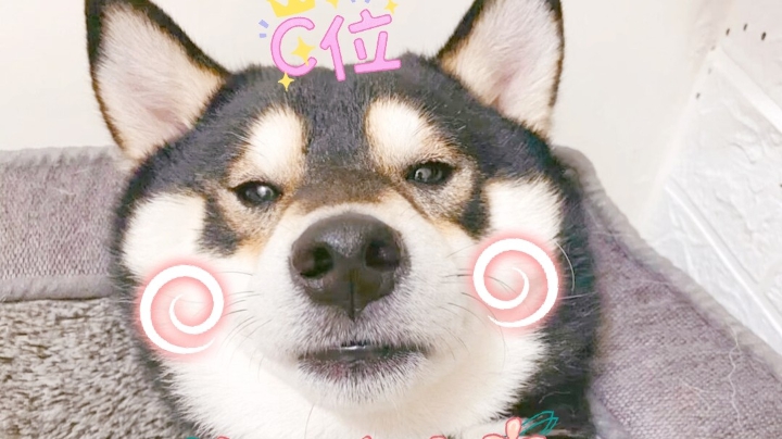 上不去了