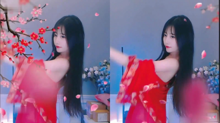 何来人间惊鸿客