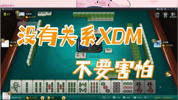 小团团：没有关系XDM，不要害怕