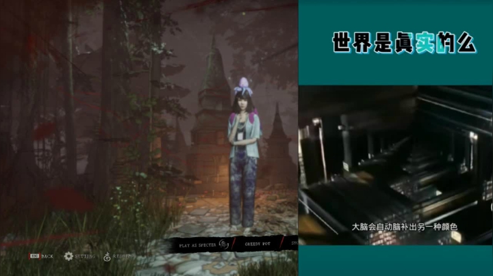 【2021-05-16 20点场】骚老猫KT：这个人强到起飞